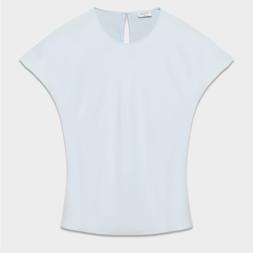 Aritzia Babaton Diary blouse light blue